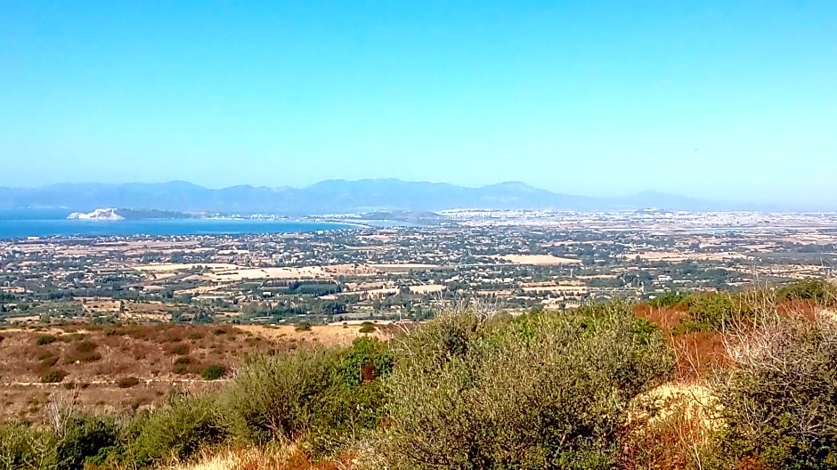 Q-riosity boutique rooms