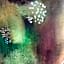 Dogana d'Acqua Rooms & Art