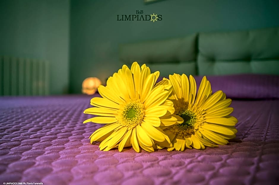 Limpiados Bed & Breakfast