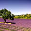 Le Jardin de Lau