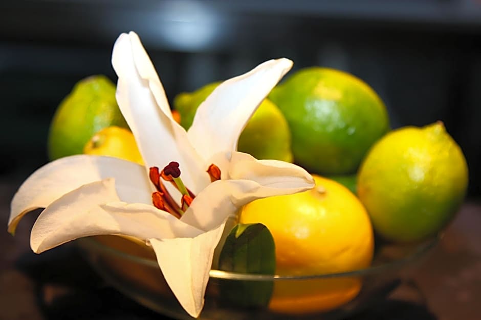 Hotel Ibis Styles La Rioja Arnedo