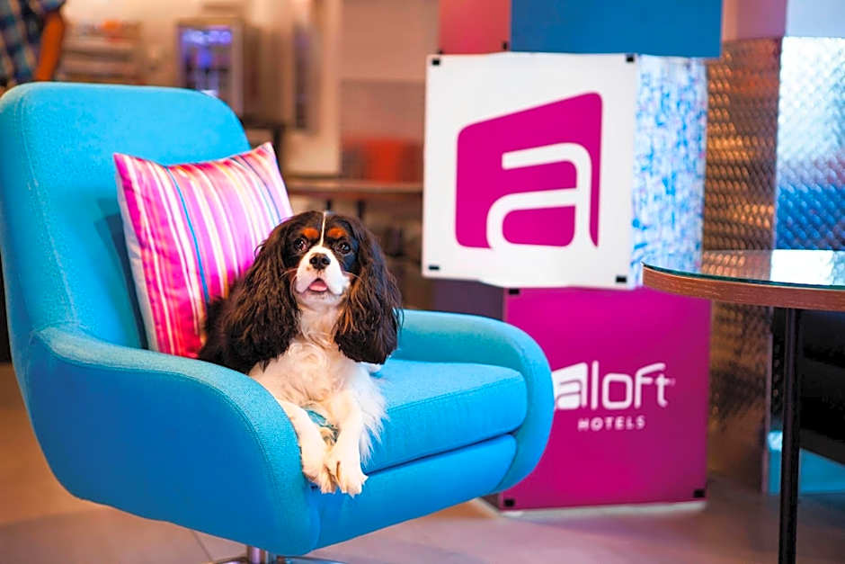 Aloft Miami Dadeland
