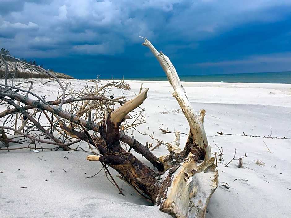 Domki nad morzem Sasino Mojo Miodno Checz