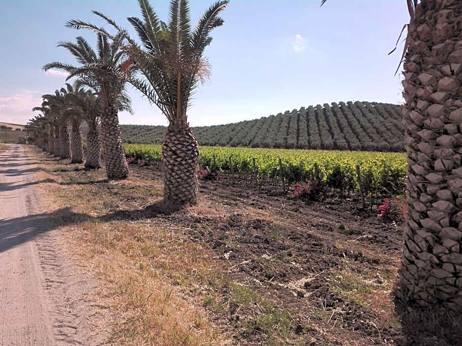 Villa Manzella piscina privata