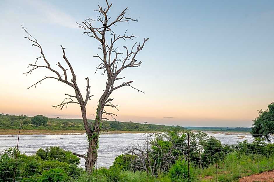 Foxy Crocodile Bush Lodge & Kruger Safaris