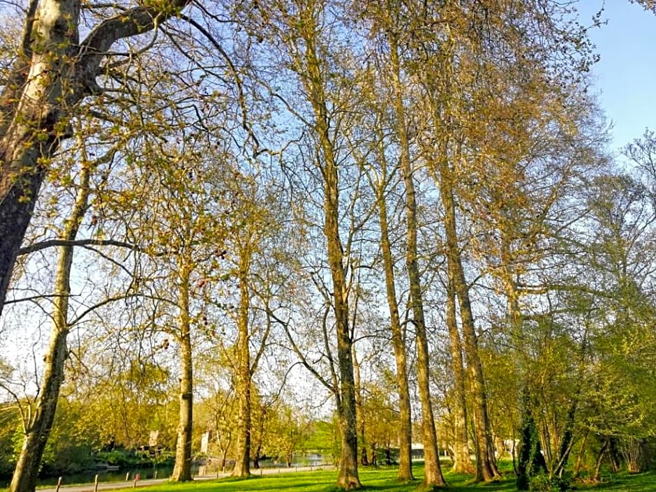 Le Domaine Des Platanes