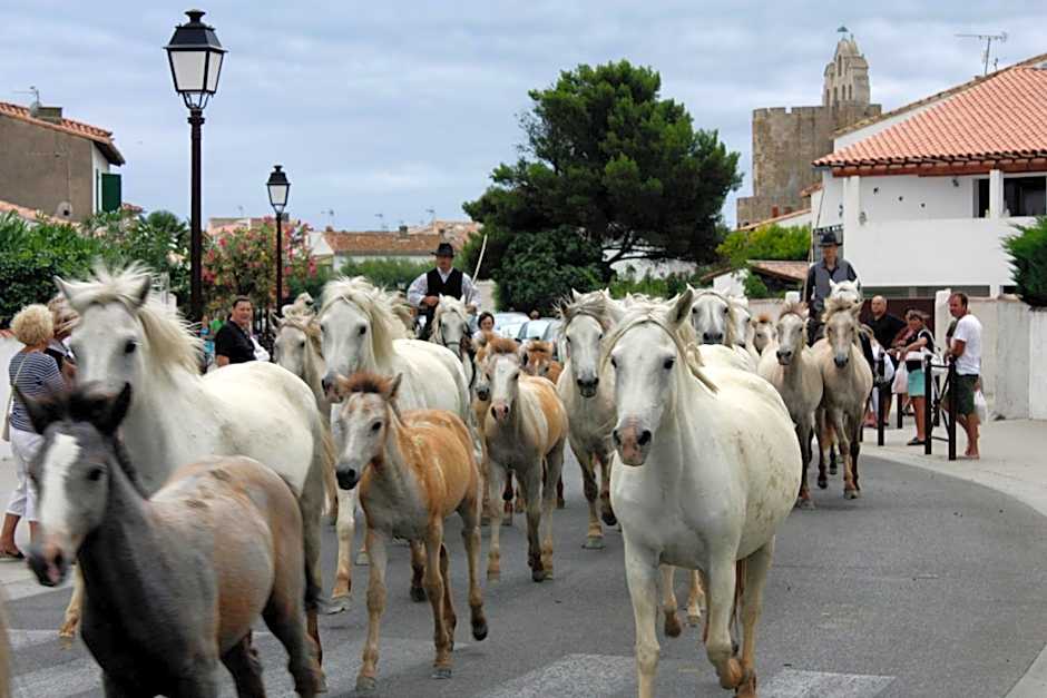 Hôtel Le Neptune en Camargue
