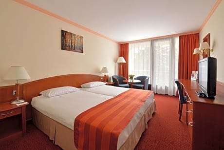 Superior Double Room with Wellness and Fitness Access