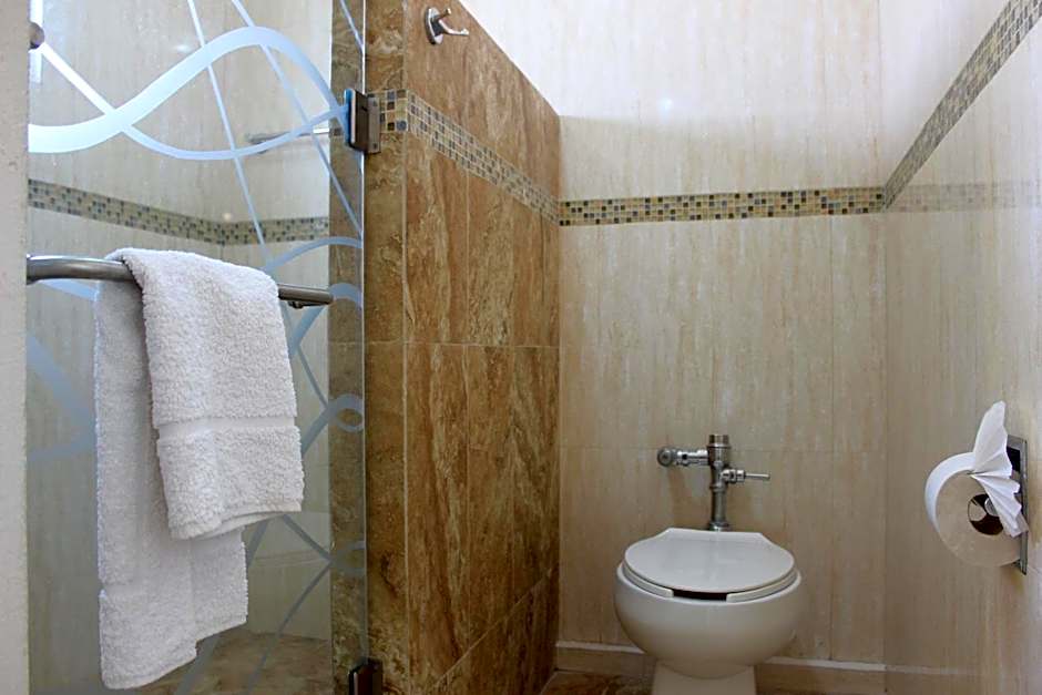 Hotel Flamingo Irapuato