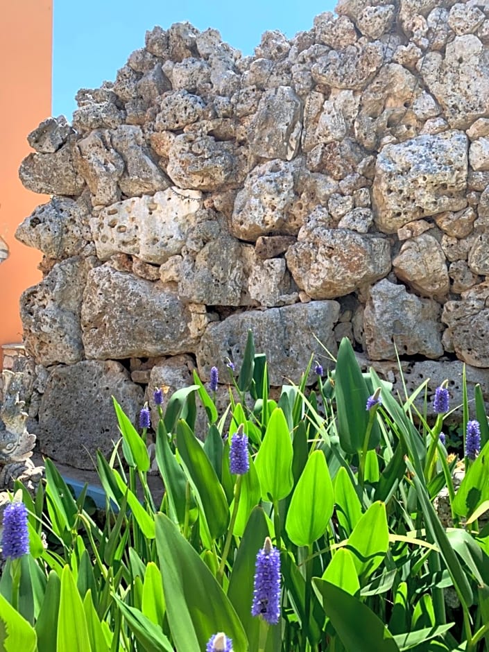 Barsentello – Noci, LA