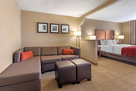 1 King Bed Suite Nonsmoking Accessible