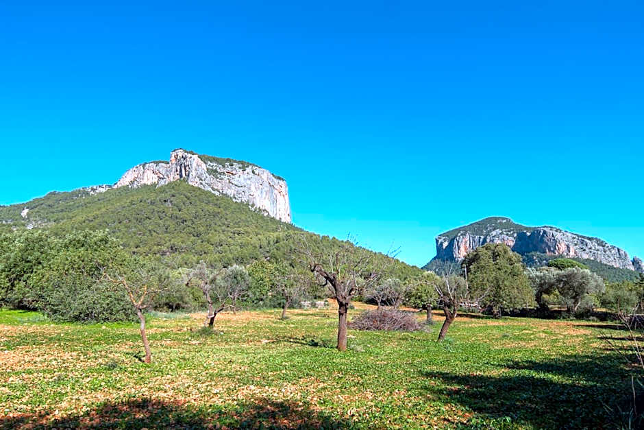 El Nido de Alaro - Turismo de Interior