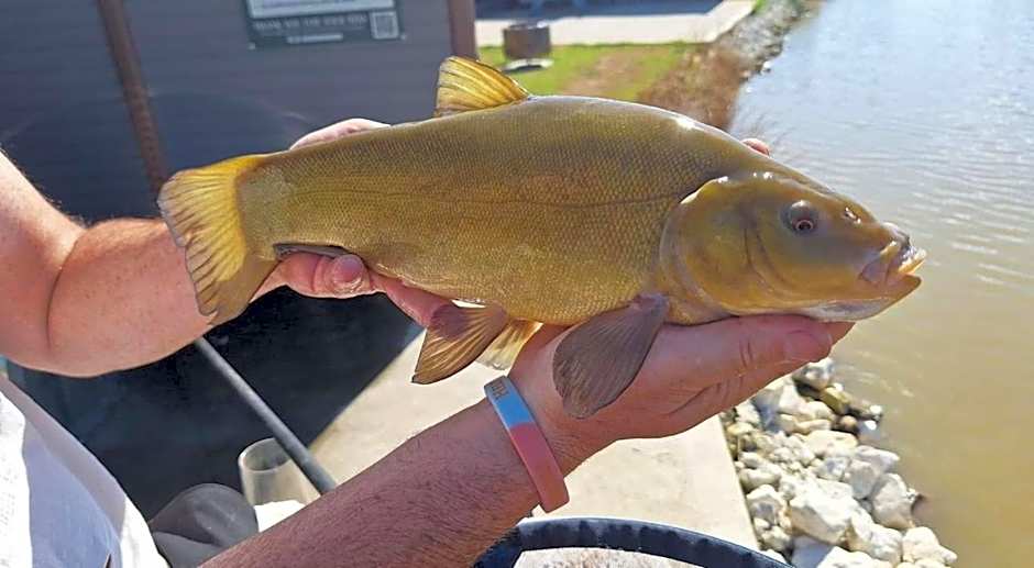 Lakeside Fishing Retreats