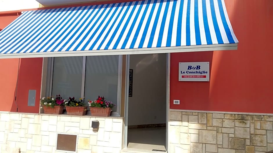 B & B Conchiglie