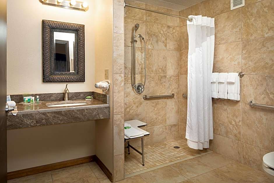 Holiday Inn and Suites Charleston West By IHG