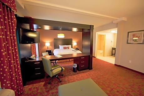 1 King Bed Studio Suite Nonsmoking