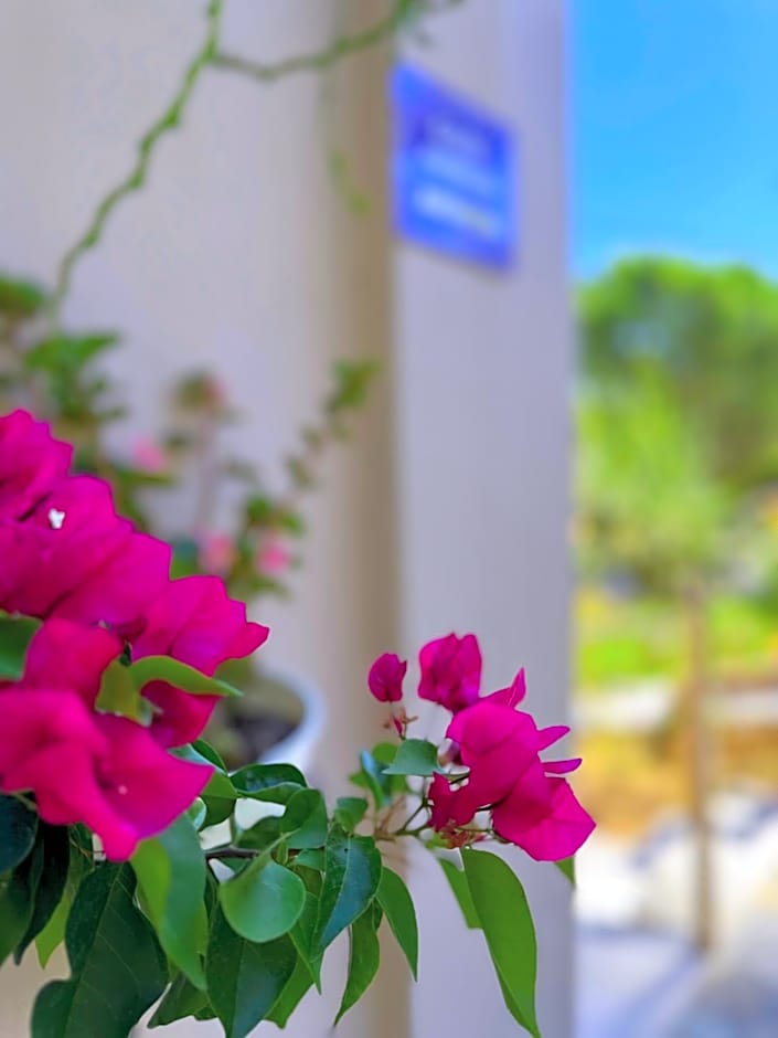 Sun Rise Hotel Apartments