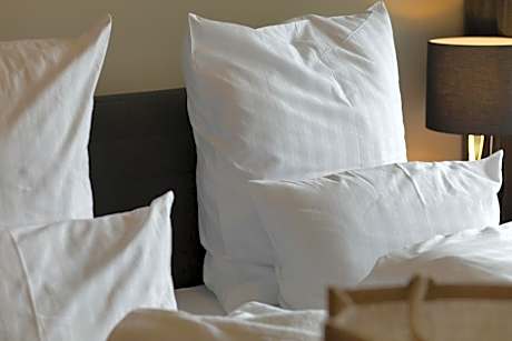 Apartment with Balcony or Terrace