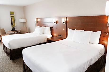 Executive Double Room with Two Double Beds - Non-Smoking
