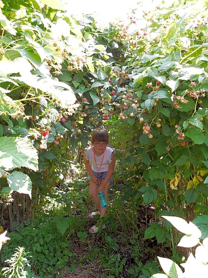 Complex Pastravaria Albota