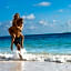 Secrets Maroma Beach Riviera Cancun - All Inclusive-Adults only