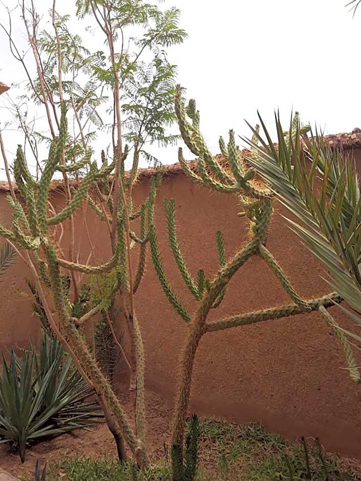 Auberge Restaurant Les Coquelicots