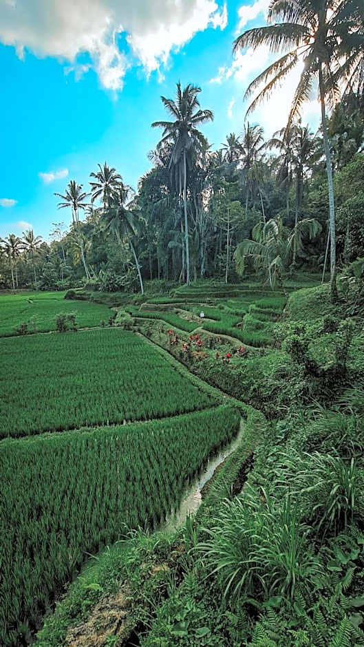 The Tirta Sari Villas