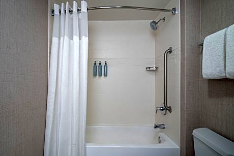 Suite, 1 Bedroom (Mobility/Hearing Accessible, Tub) (1 Queen Bed and 1 Double Sofa Bed)