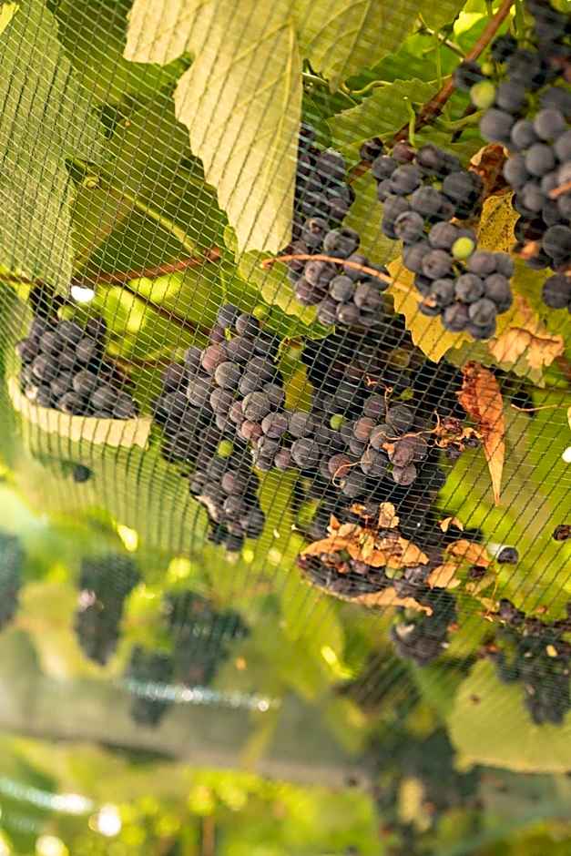 Hotel-Restaurant Eyholz