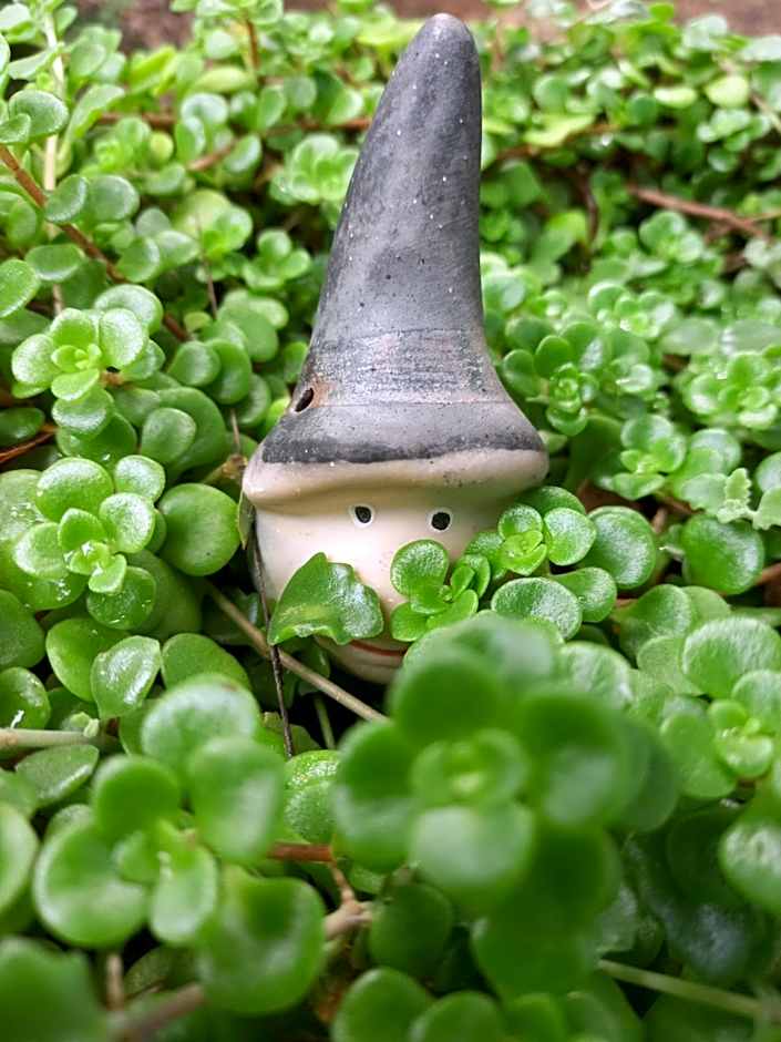 Recanto Pousada Sonho Meu