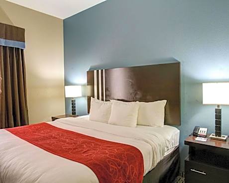 1 King Bed Suite Nonsmoking Accessible