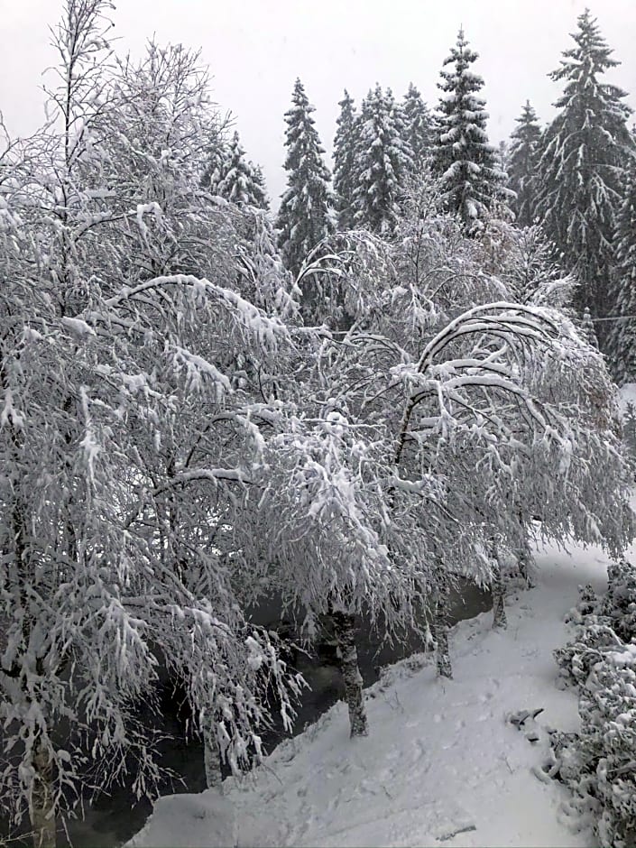 Le Chalet du Narouel