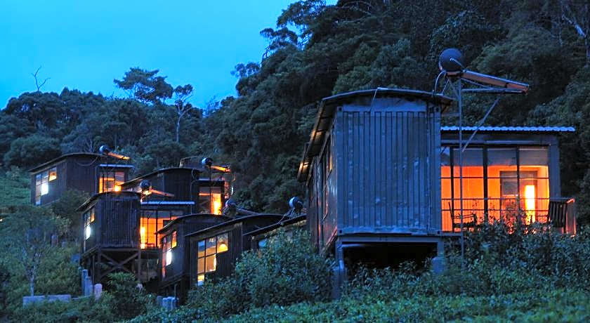 The Rainforest Ecolodge