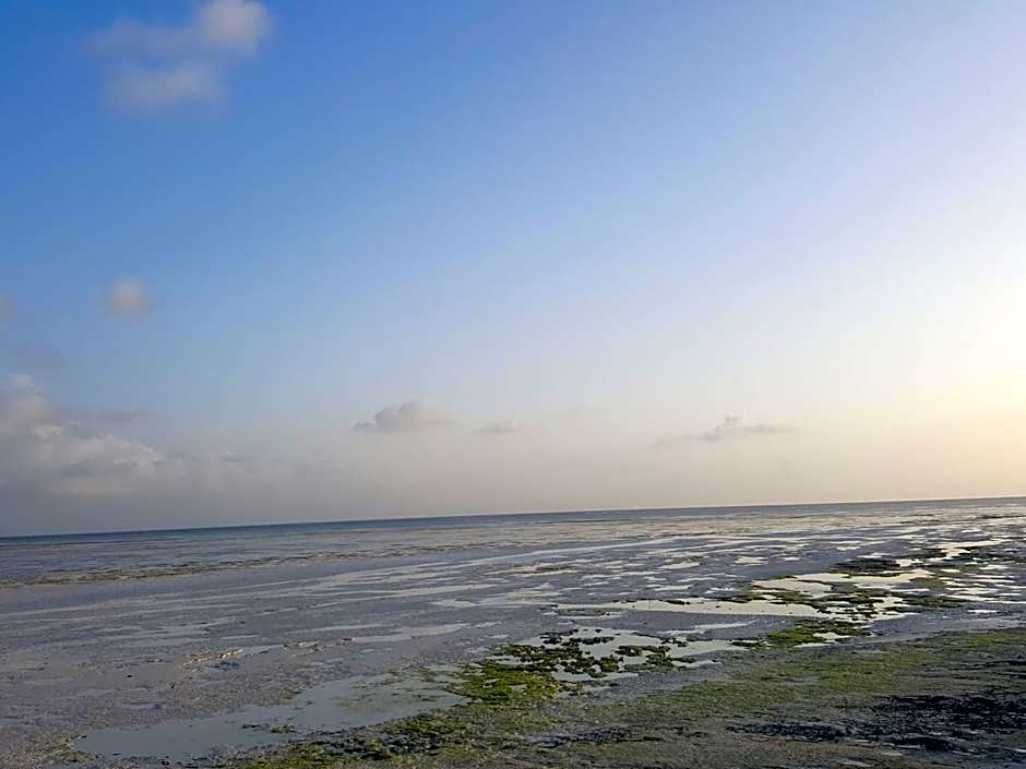 Jua Retreat Adults Only