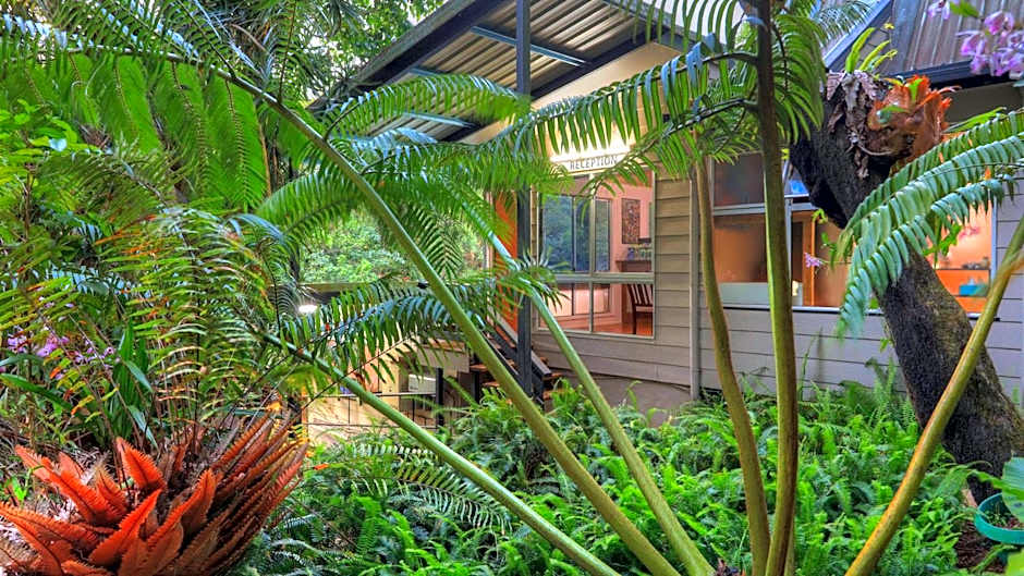 Photo 1 of 50 of Chambers Wildlife Rainforest Lodges