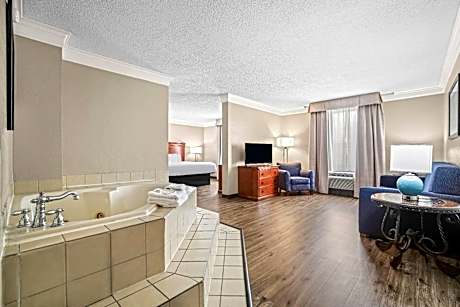 Deluxe King Suite - Non-Smoking