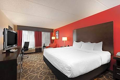 1 King Bed Non-Smoking