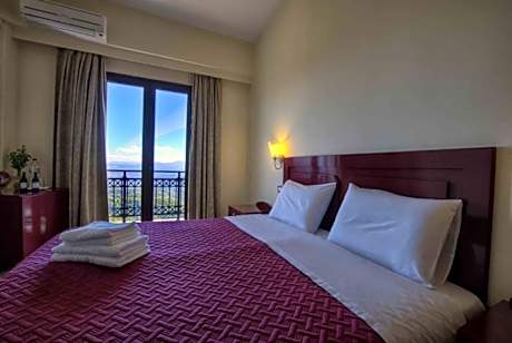 Deluxe Double or Twin Room with Mountain View