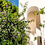 Hotel Senaria
