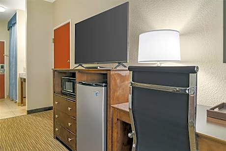 Accessible - 1 King, Mobility Accessible, Roll In Shower, High Speed Internet Access, Non-Smoking, F
