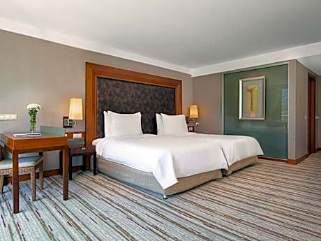 Standard Room, Mountain View