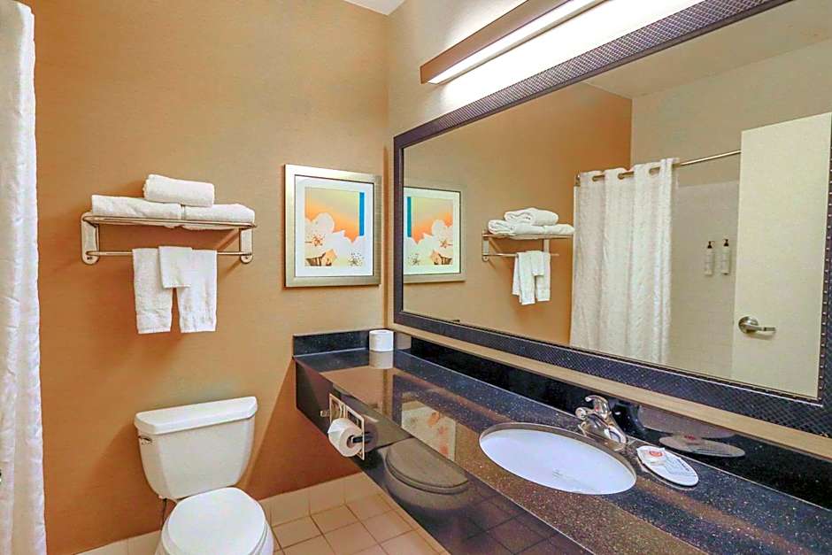 Comfort Inn & Suites Houston North - Spring