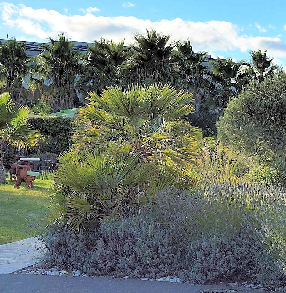 Le Jardin de Babylone "réservé aux couples uniquement"