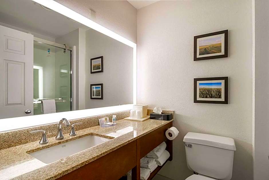 Comfort Inn Great Falls Central