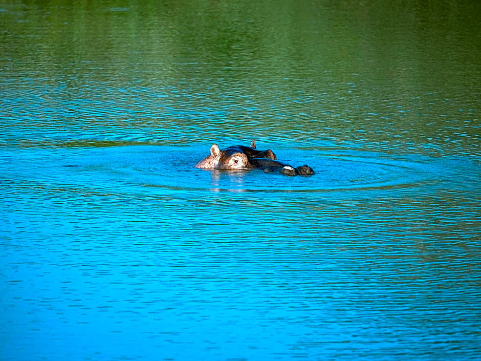 Lush Private Game Lodge