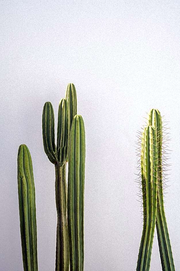 Casa Montelongo - Adults Only