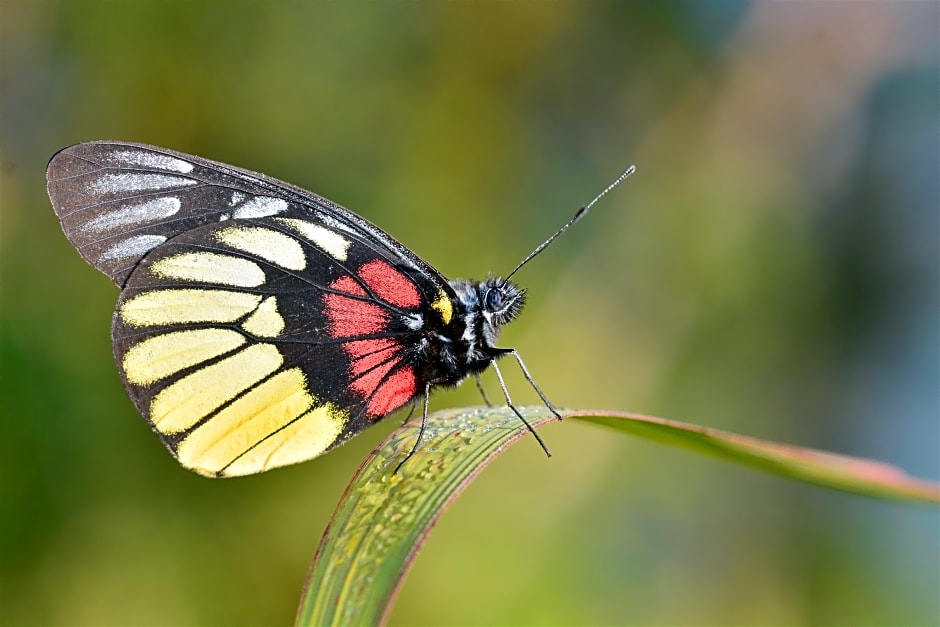 Wisma Jannatun Naim Lampung