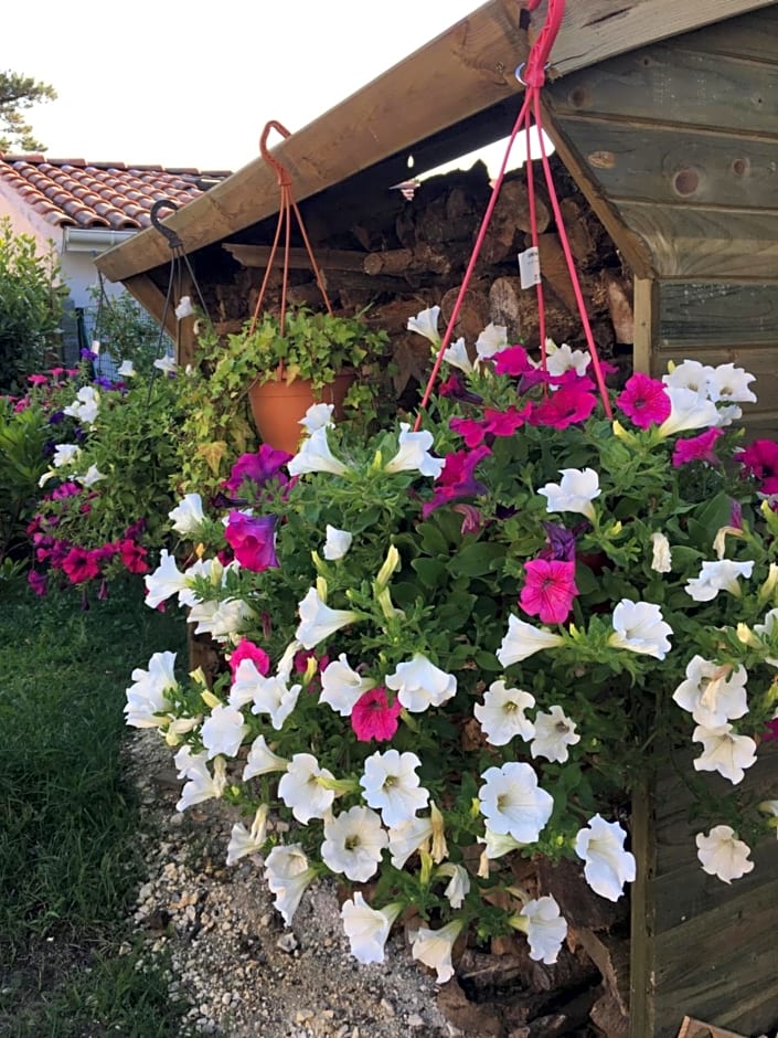 Chambres d'Hôtes d'Aliénor