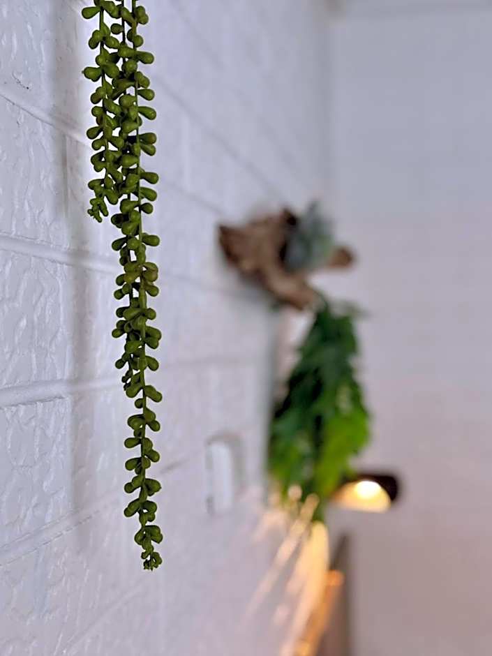 Angaston Vineyards Motel