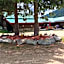 Summit River Lodge & Campsites